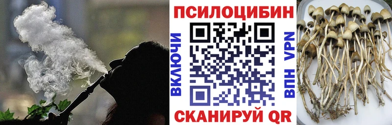 мега   Княгинино  Галлюциногенные грибы ЛСД 